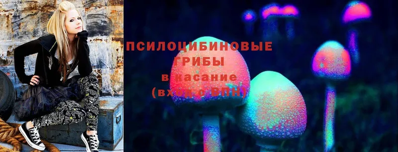 Галлюциногенные грибы Magic Shrooms  Углегорск 